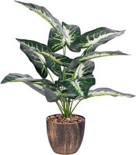 Fake plants indoor for sale  Independence