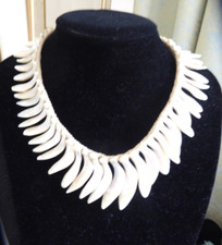 Mother pearl shell for sale  CARNFORTH