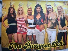 The Pussycat Dolls banda, Robbie Williams, Pin Up From Hungarian Magazine Bravo, A/4 comprar usado  Enviando para Brazil