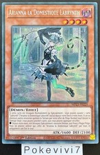 Carte arianna domestique d'occasion  Valognes