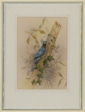 Eileen cooper contemporary for sale  BRADFORD-ON-AVON