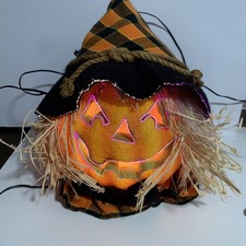 Fiber optic halloween for sale  Dearborn