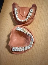Kavo modelle paar gebraucht kaufen  Germersheim