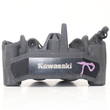 2023 kawasaki 1000 for sale  EGHAM