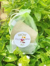 Indoor kitchen herb for sale  Keavy