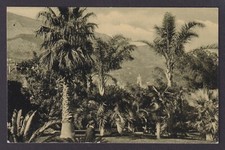 MÔNACO, cartão postal RPPC, Monte Carlo, jardins comprar usado  Enviando para Brazil