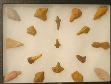 Arkansas birdpoint arrowheads for sale  Branson