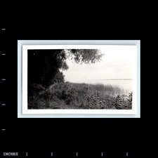 Vintage photo landscape for sale  Grass Valley