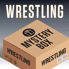 Wrestling mystery box for sale  Staten Island