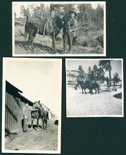 C1915 logging crew for sale  Wooster
