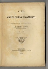 Vita michelangelo buonarroti usato  Firenze