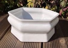 Chinese pure white for sale  CAMBRIDGE