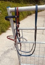 Zilco deluxe halter for sale  CARMARTHEN