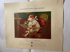Lithographie ntée publicitair d'occasion  La Rochefoucauld