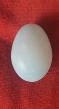 Oeuf jade vert d'occasion  Villiers-sur-Marne