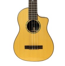 Cordoba 35t cutaway for sale  Saint Paul