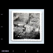 Vintage photo birdseye for sale  Grass Valley