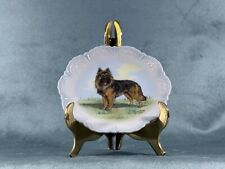 Belgian tervuren plate for sale  Sheridan
