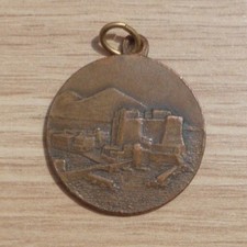Medaglia a.n.a. adunata usato  Volvera