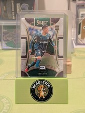 palmeiras for sale palmeiras for sale DURHAM