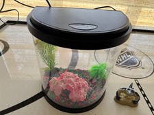 3.5 gallon fish for sale  Bristol
