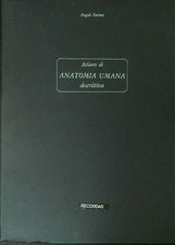 Atlante anatomia umana usato  Italia