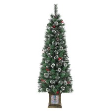 6ft potted christmas for sale  Unadilla