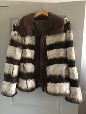 Chinchilla dyed rex for sale  Sedona