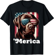 Merica chocolate lab for sale  Amityville