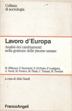 Lavoro analisi dei usato  Italia