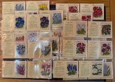 Kensitas silk flowers for sale  NANTWICH
