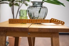 Guitar anatomy telecaster for sale  GLASGOW