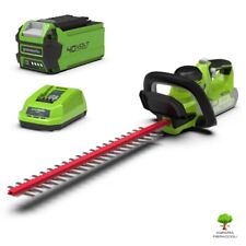 Tagliasiepe greeworks g40ht usato  Roma
