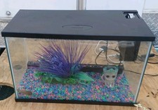 Gallon rimless aquarium for sale  Cleveland