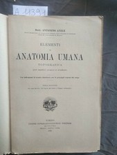 Elementi anatomia umana usato  Bracciano