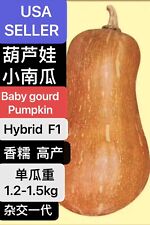 10pcs baby gourd for sale  Monterey Park