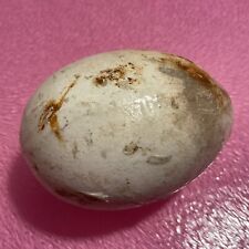 Antique ceramic dummy for sale  BOSTON