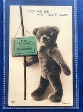 Novelty pull postcard for sale  WORTHING