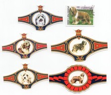 Bearded collie collection for sale  COLEFORD