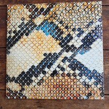 Amazing snakeheads amphetamine for sale Amazing snakeheads amphetamine for sale  CHESTERFIELD