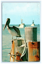 Pelican pier fishing for sale  Palm Bay