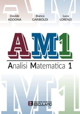 Am1 analisi matematica usato  Sesto San Giovanni