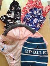 Dog clothes lot for sale  Erin