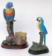 Macaw parrot parakeet for sale  WARRINGTON