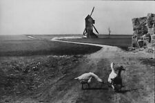 Henri cartier bresson usato  Palermo