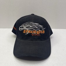 Vintage 2001 sturgis for sale  Carroll