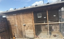 Bird avery for sale  DONCASTER