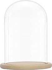 Glass dome cloche for sale  SUTTON-IN-ASHFIELD