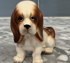 Basset hound puppy for sale  Glendale