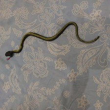 Schlange 44cm schlange gebraucht kaufen Schlange 44cm schlange gebraucht kaufen  Neustadt am Rübenberge